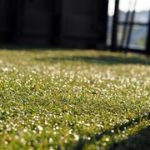 Artificial grass