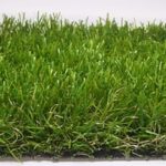 Natural Grass