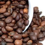 coffee seed