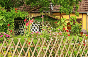 Cottage garden