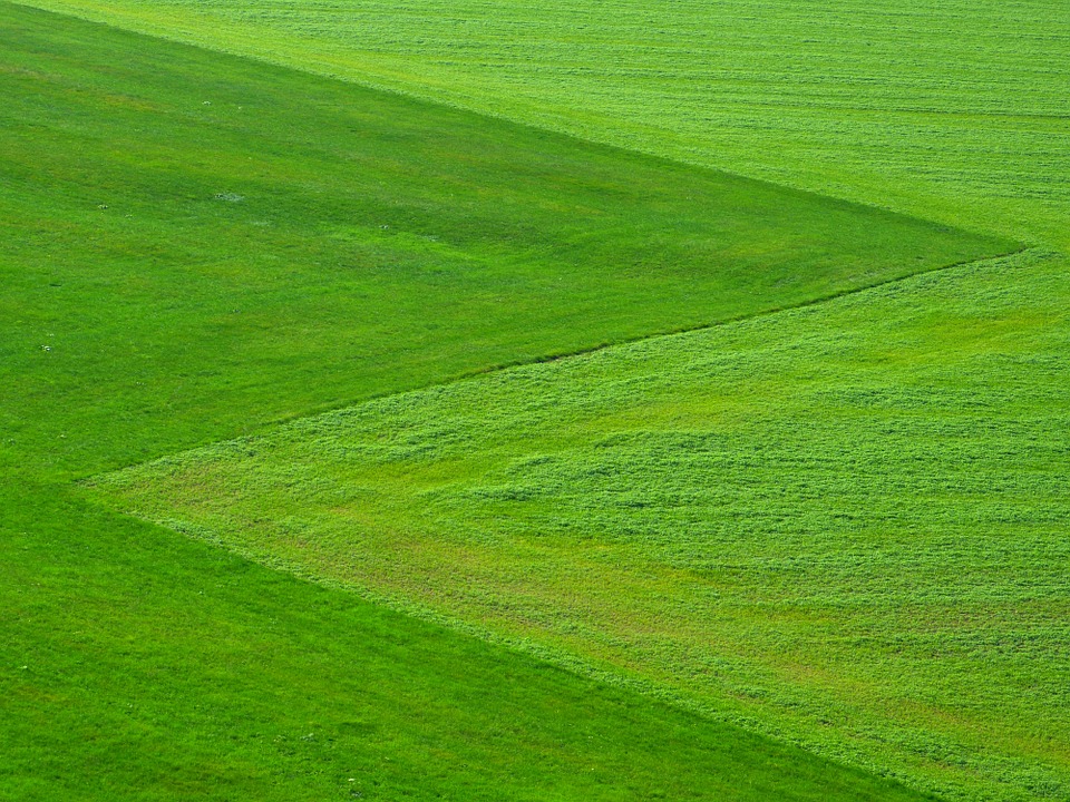Relating Artificial And Natural Grass